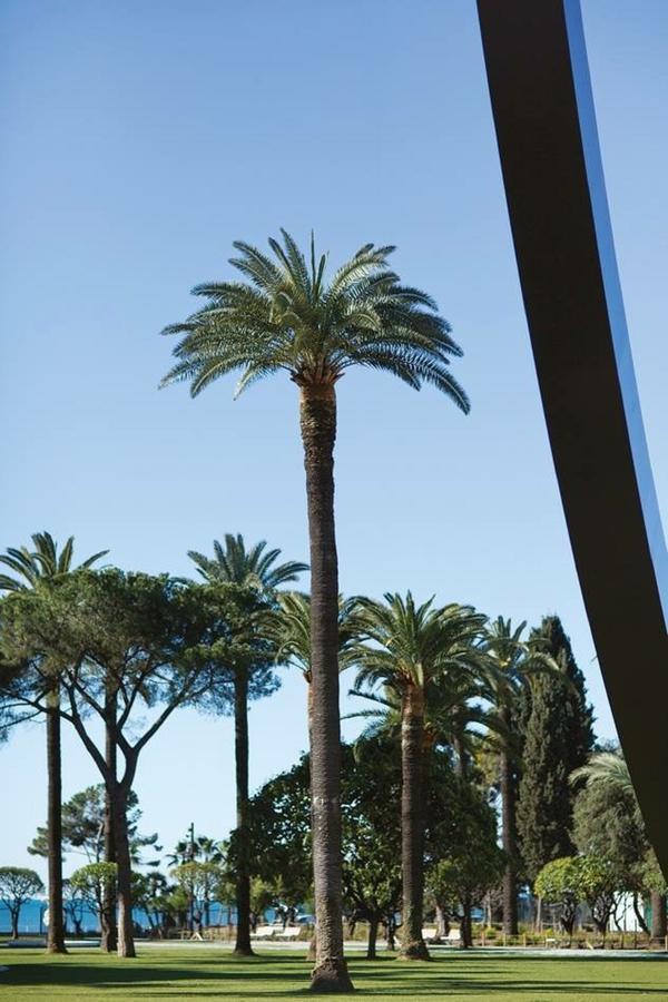 Le Prefecture - Luxueux F3 En Duplex, Ascenseur, Coeur Vieux-Nice Apartment Bagian luar foto